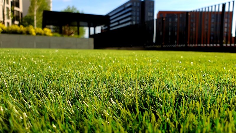 Lawn care service